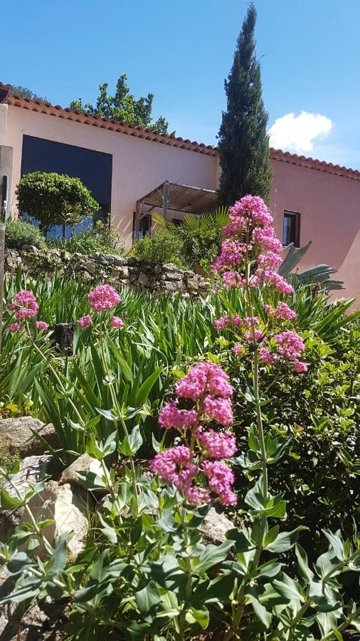 Bastide Cigaline Βίλα Le Beausset Εξωτερικό φωτογραφία