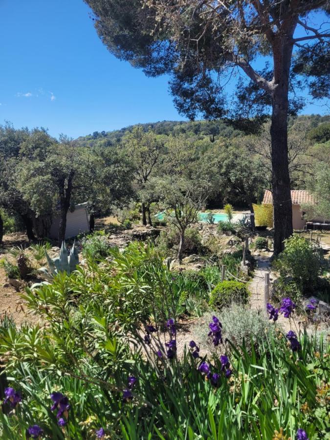 Bastide Cigaline Βίλα Le Beausset Εξωτερικό φωτογραφία