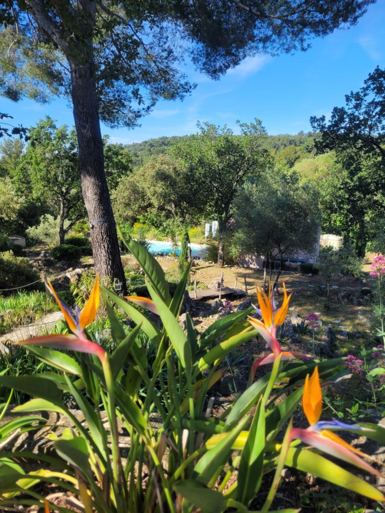 Bastide Cigaline Βίλα Le Beausset Εξωτερικό φωτογραφία