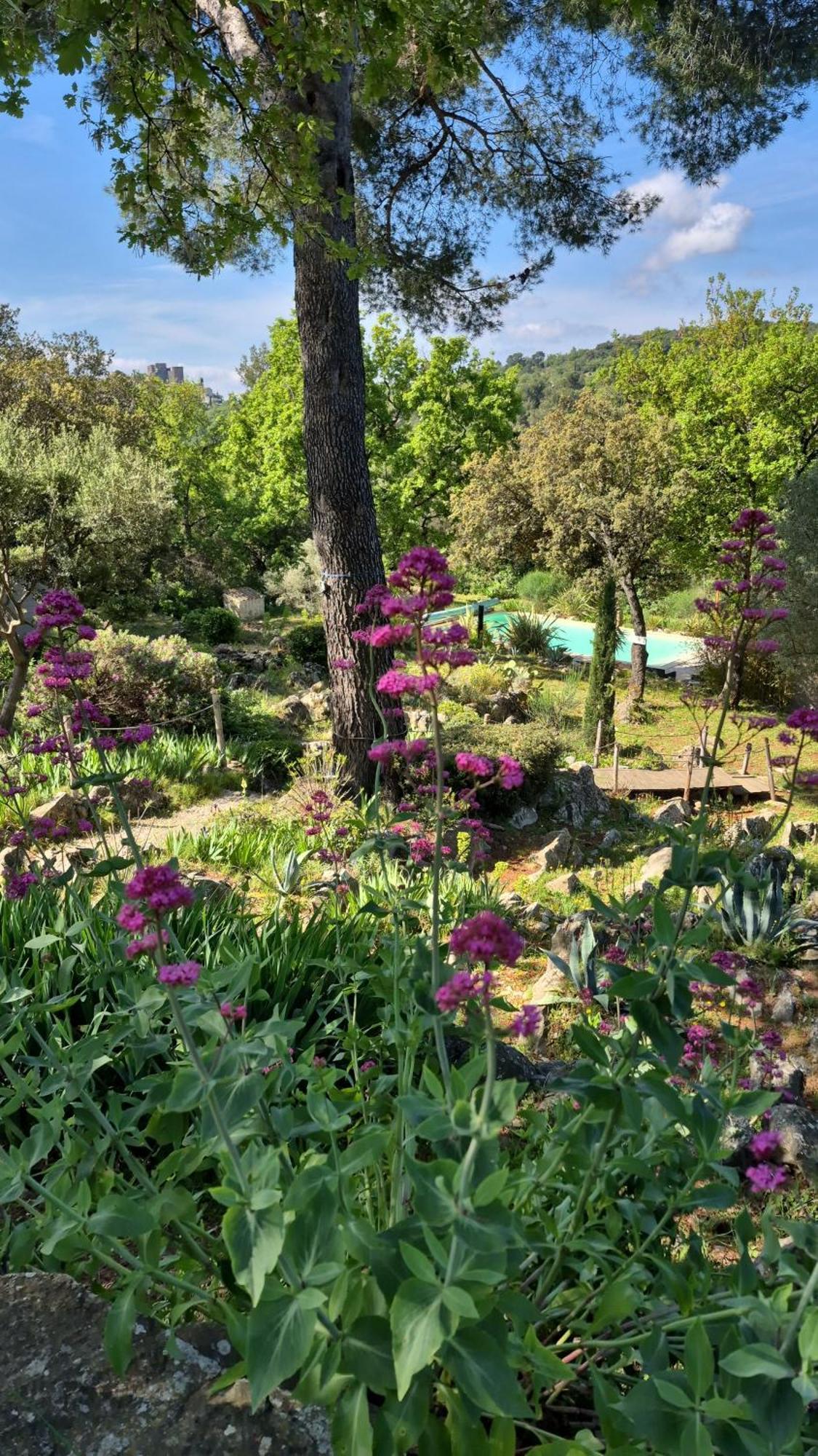 Bastide Cigaline Βίλα Le Beausset Εξωτερικό φωτογραφία